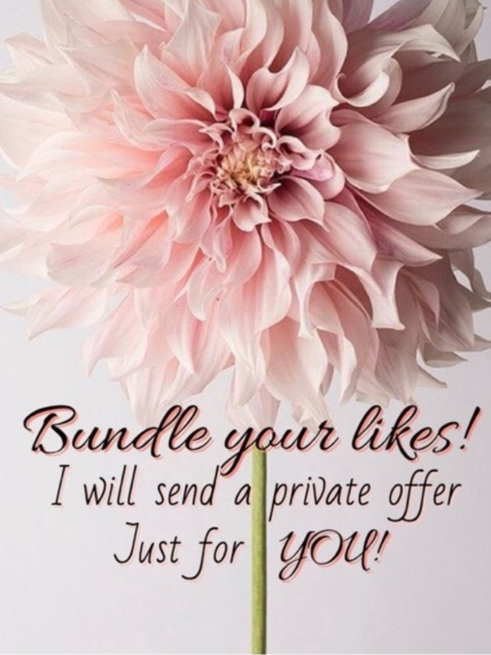 Bundle and Save